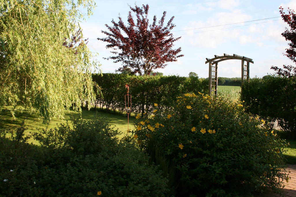 Herbages De Beauvais Orgeres-la-Roche Ngoại thất bức ảnh